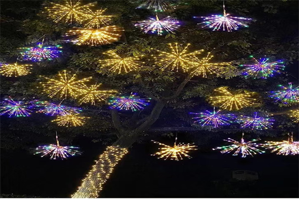 节日灯串系列 5