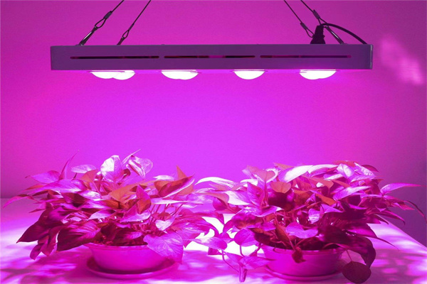 植物照明系列 3