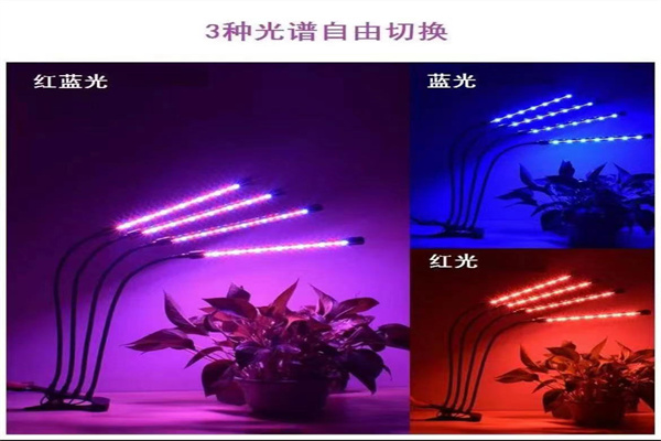 植物照明系列 2