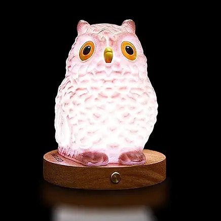 猫头鹰小夜灯
